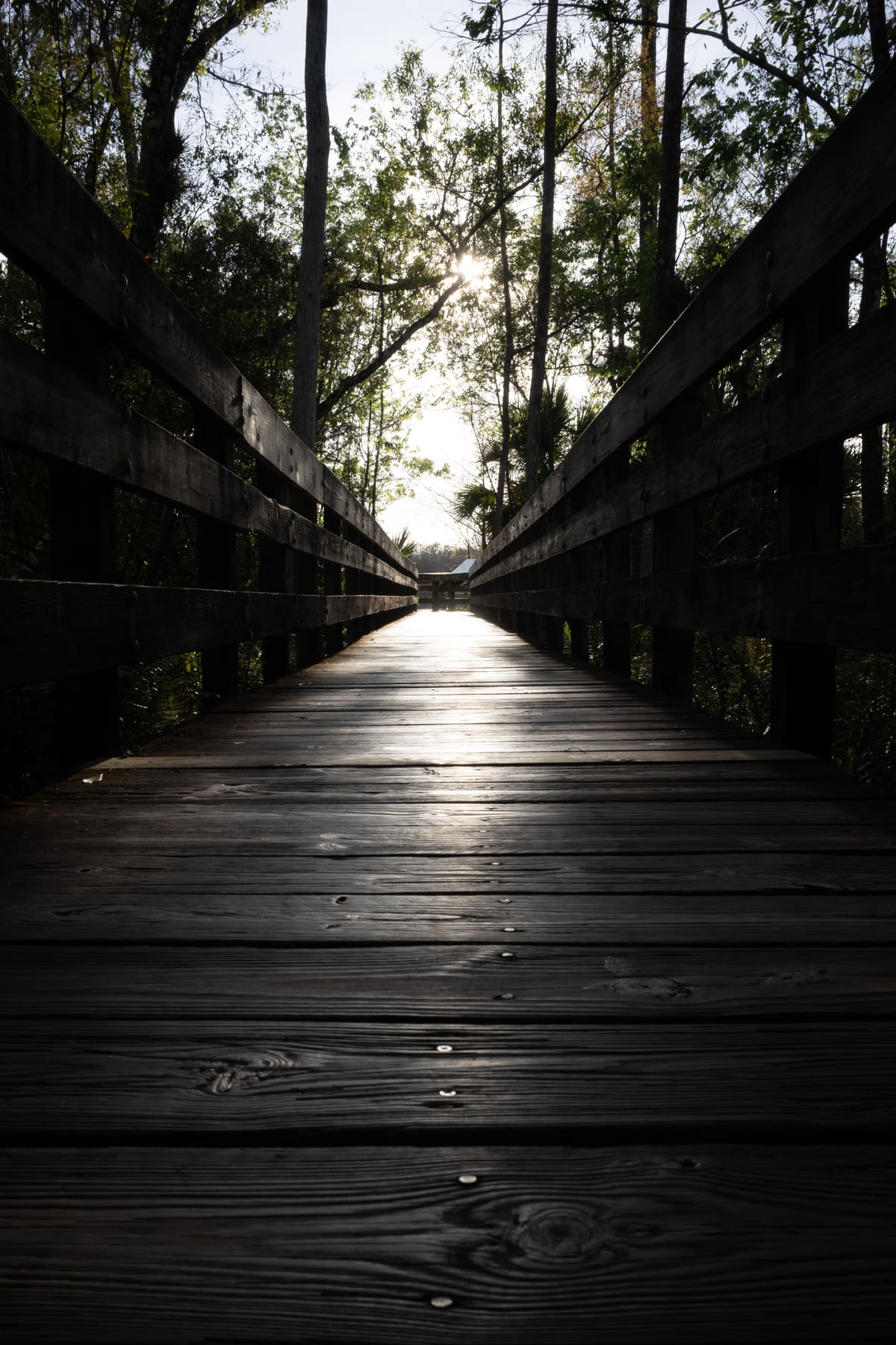 Nature trail boardwalk in Fort Myers