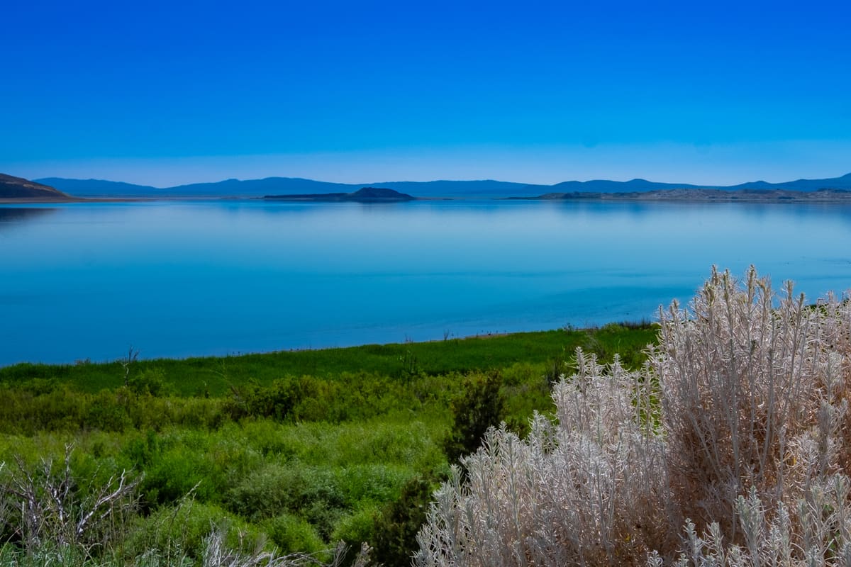 Mono Lake