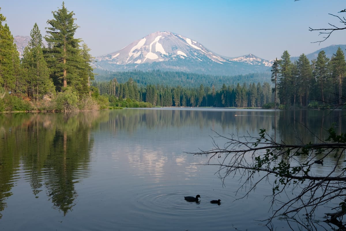 Peak reflection with ducks