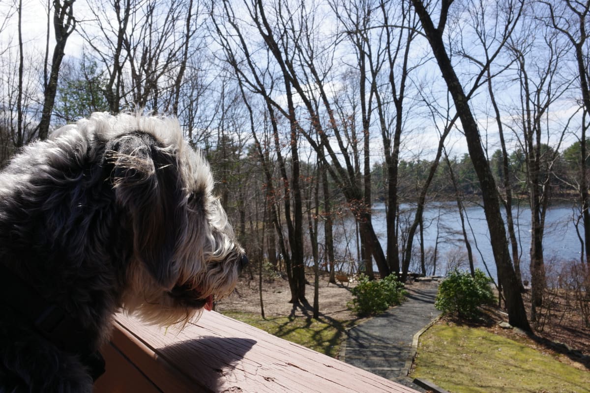 Stand-in frame, Poconos